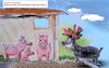 Cartoon: kein schwein gehabt (small) by ab tagged tier,schwein,pest,krankheit,übertragung,afrika,angst