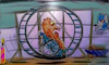 Cartoon: no escape (small) by ab tagged hamster,käfig,rad,rollstuhl,drehen