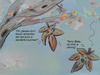 Cartoon: when leafs leave.. (small) by ab tagged autuum,leafs