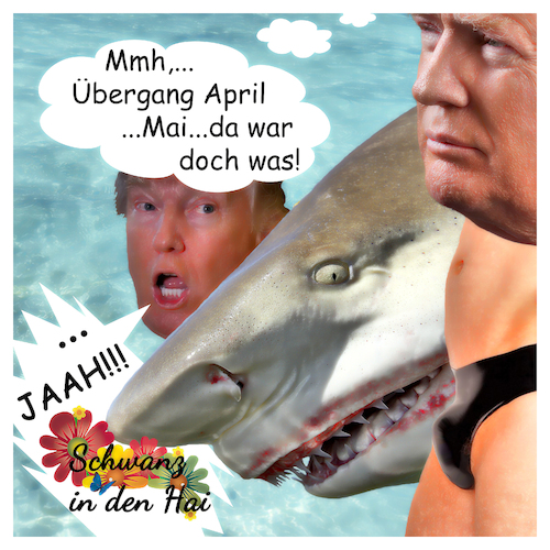 Cartoon: Tanz in den Mai (medium) by Night Owl tagged tanz,mai,schwanz,hai,donald,trump