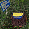 Cartoon: Gut Holz (small) by Night Owl tagged ikea,ingvar,kamprad,sarg,grab