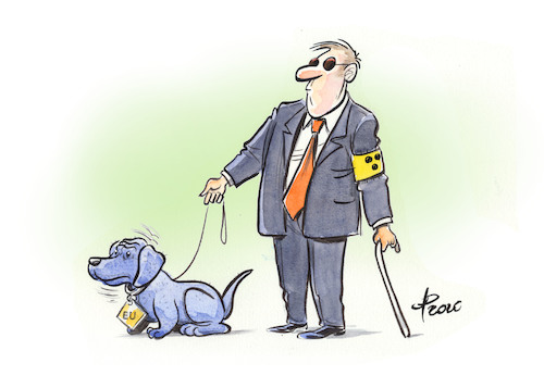 Die Suche... Die Suche...