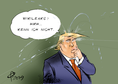 Donald leaks