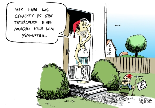 ESM-Urteil ESM-Urteil