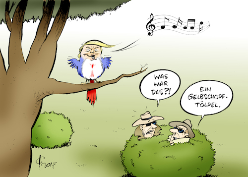 Cartoon: Gelbschopftölpel (medium) by Paolo Calleri tagged usa,russland,donald,trump,treffen,außenminister,lawrow,geheimdienste,geheimnisse,verraten,ausgeplaudert,karikatur,cartoon,paolo,calleri