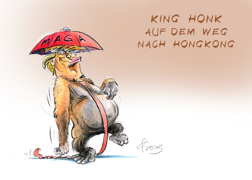 King Honk King Honk