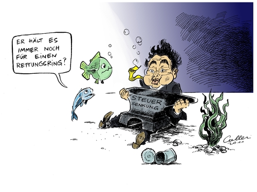 Kleine Fische Kleine Fische