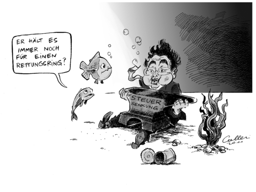 Kleine Fische Kleine Fische