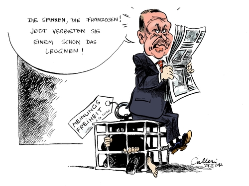 Cartoon: Menschenrechtsexperte (medium) by Paolo Calleri tagged meinungsfreiheit,erdogan,tayyip,recep,ministerpräsident,genozid,armenien,armenier,massaker,reich,osmanisches,völkermord,leugnung,gesetz,frankreich,türkei,türkei,frankreich,gesetz,leugnung,völkermord,massaker,armenien,genozid,ministerpräsident,recep,tayyip,erdogan,meinungsfreiheit