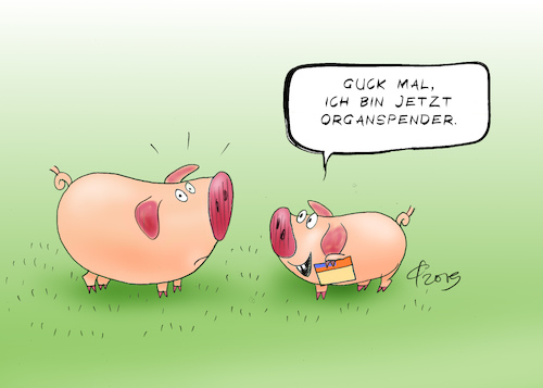 Organspender Organspender