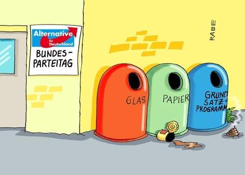 AfD Parteitag AfD Parteitag