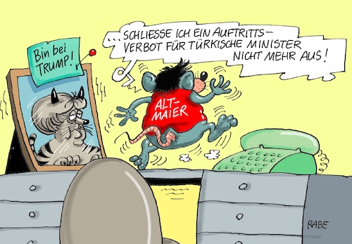 Altmaier Türken