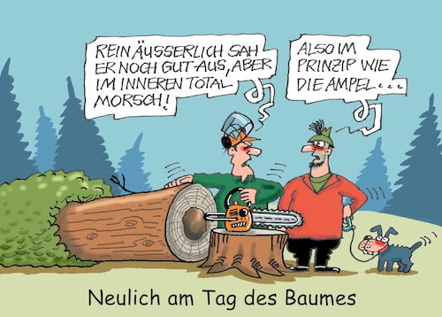 Ampelbaum Ampelbaum