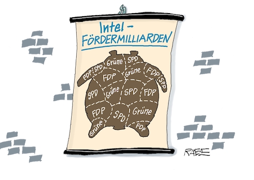 Bärenfell Bärenfell