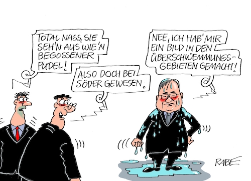 Begossener Pudel Begossener Pudel