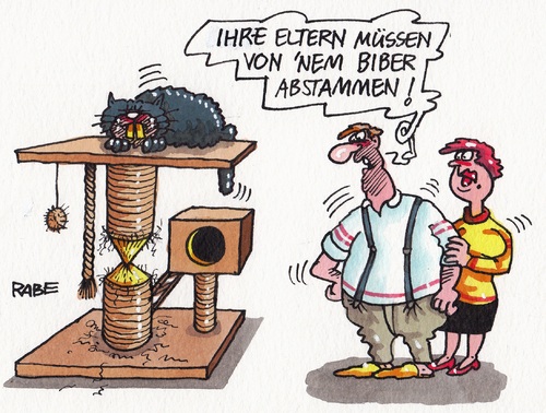 Biberkatze Biberkatze