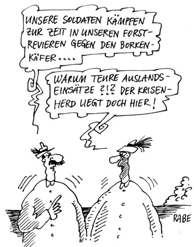 Borkenkäfer Borkenkäfer