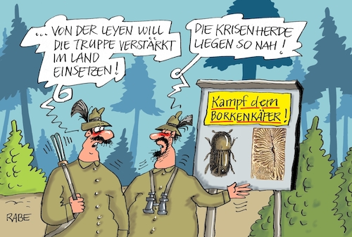 Borkenkäfer Borkenkäfer