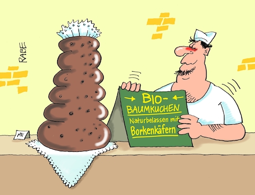 Borkenkäfer Borkenkäfer
