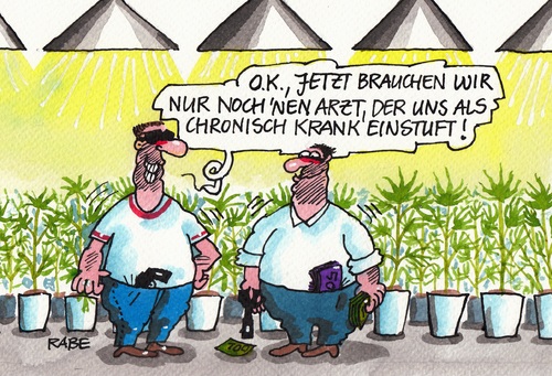Cannabisanbau Cannabisanbau