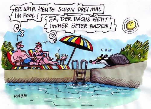 Dachspool Dachspool