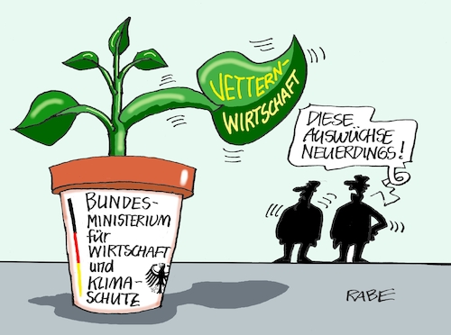 Dickblattgewächs Dickblattgewächs