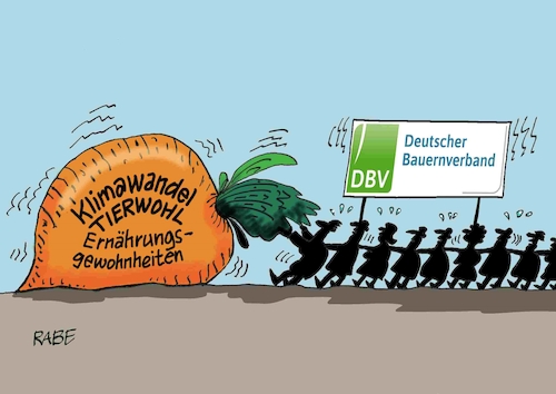 Dicke Runkelrübe Dicke Runkelrübe