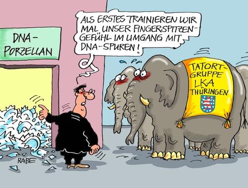 DNA Panne DNA Panne