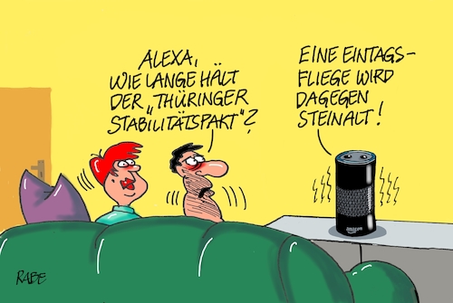 Eintagsfliege Eintagsfliege