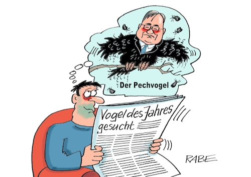Federn gelassen Federn gelassen