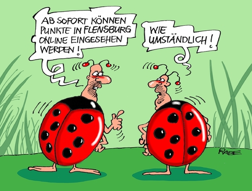 Flensburger Punkte Flensburger Punkte
