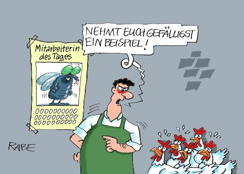 Fliegeneier Fliegeneier
