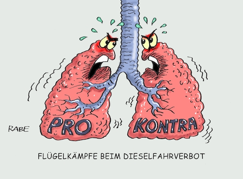 Flügelkämpfe Flügelkämpfe