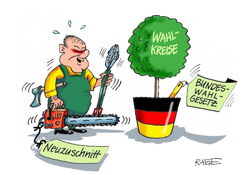 Frühjahrsschnitt Frühjahrsschnitt