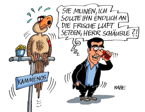 Griechenpapagei Griechenpapagei