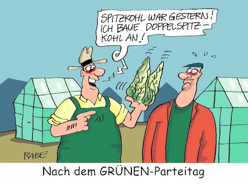 Grünenparteitag Grünenparteitag
