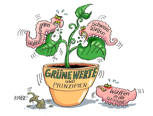 Grünzeug Grünzeug