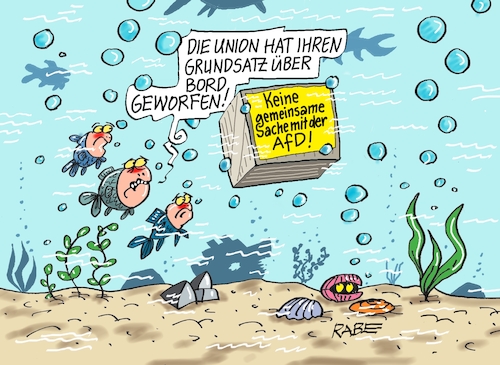 Grundsatz in der Kiste Grundsatz in der Kiste