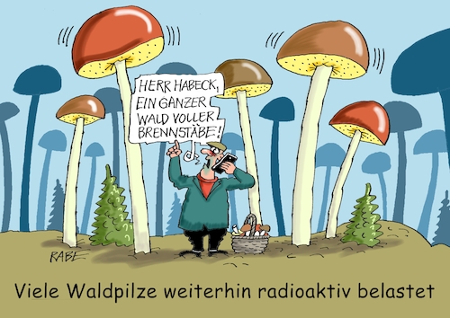 Heizpilze Heizpilze