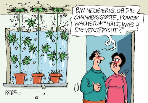 Highspeed Wachstum Highspeed Wachstum