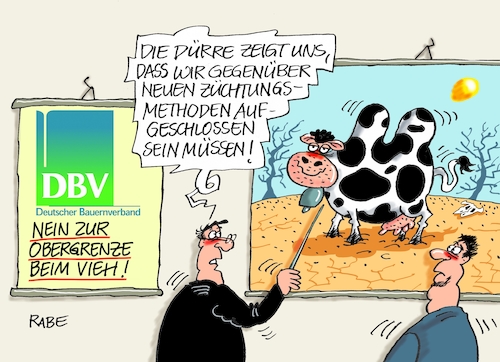 Hitze Dürre Milchvieh Hitze Dürre Milchvieh