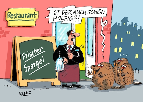 Holziges Holziges