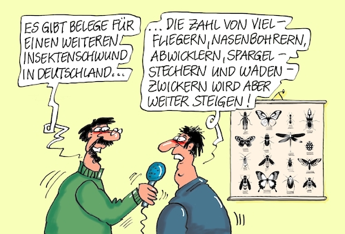 Insektensterben Insektensterben