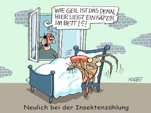 Insektenzählung Insektenzählung