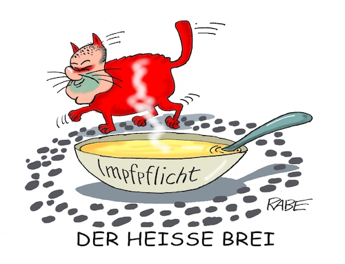 Katze um den heißen Brei Katze um den heißen Brei