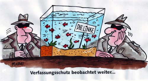 Kleine Fische