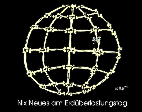 Knochendichte Knochendichte