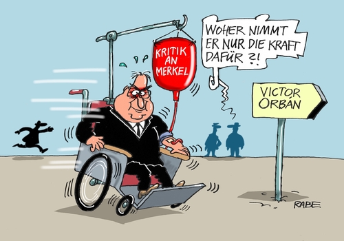 Kohl Orban Kohl Orban