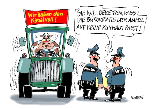 Kuhhaut Kuhhaut