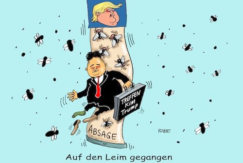 Leimfalle Leimfalle